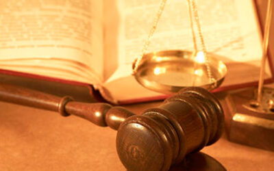 El Rol Que Cumple El Órgano Jurisdiccional En El Estado De Derecho